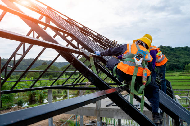 Best Roof Maintenance Services  in Black Rock, NM
