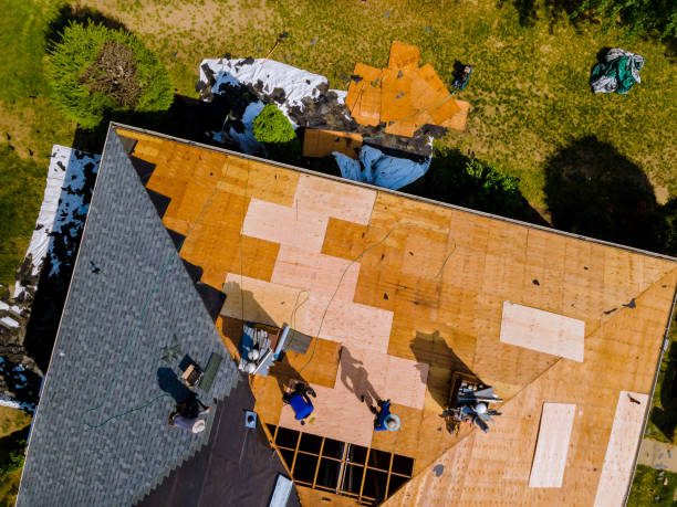 Best Commercial Roofing Services  in Black Rock, NM